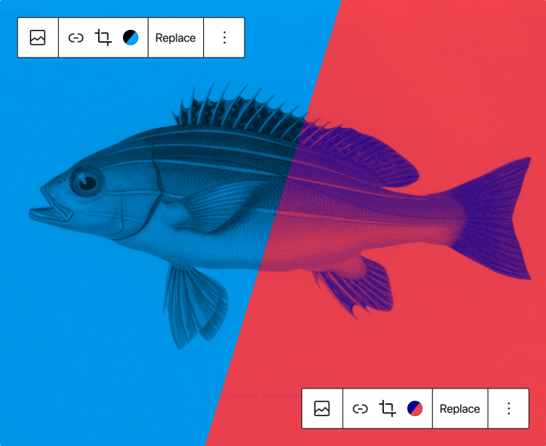 wordpress duotone filter